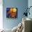Jumbo Orange and Grapefruit-null-Stretched Canvas displayed on a wall
