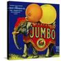 Jumbo Orange and Grapefruit-null-Stretched Canvas