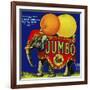 Jumbo Orange and Grapefruit-null-Framed Giclee Print