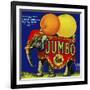 Jumbo Orange and Grapefruit-null-Framed Giclee Print