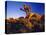 Jumbo Rocks at Joshua Tree National Park in California, USA-Chuck Haney-Stretched Canvas