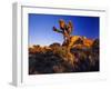 Jumbo Rocks at Joshua Tree National Park in California, USA-Chuck Haney-Framed Photographic Print