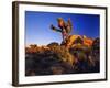 Jumbo Rocks at Joshua Tree National Park in California, USA-Chuck Haney-Framed Photographic Print