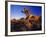 Jumbo Rocks at Joshua Tree National Park in California, USA-Chuck Haney-Framed Photographic Print