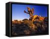 Jumbo Rocks at Joshua Tree National Park in California, USA-Chuck Haney-Framed Stretched Canvas