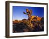 Jumbo Rocks at Joshua Tree National Park in California, USA-Chuck Haney-Framed Premium Photographic Print