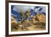 Jumbo Rocks, Joshua Tree National Park, California, USA-Charles Gurche-Framed Photographic Print