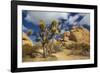 Jumbo Rocks, Joshua Tree National Park, California, USA-Charles Gurche-Framed Photographic Print