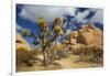 Jumbo Rocks, Joshua Tree National Park, California, USA-Charles Gurche-Framed Photographic Print