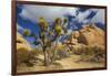 Jumbo Rocks, Joshua Tree National Park, California, USA-Charles Gurche-Framed Photographic Print