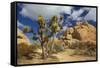 Jumbo Rocks, Joshua Tree National Park, California, USA-Charles Gurche-Framed Stretched Canvas