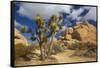 Jumbo Rocks, Joshua Tree National Park, California, USA-Charles Gurche-Framed Stretched Canvas