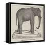 Jumbo Stuffed-null-Framed Stretched Canvas