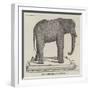 Jumbo Stuffed-null-Framed Giclee Print