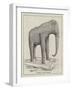 Jumbo Stuffed-null-Framed Giclee Print