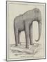 Jumbo Stuffed-null-Mounted Giclee Print