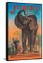 Jumbo, The Children's Giant Pet-null-Framed Stretched Canvas