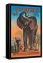 Jumbo, The Children's Giant Pet-null-Framed Stretched Canvas