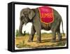 Jumbo the Elephant-null-Framed Stretched Canvas