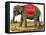 Jumbo the Elephant-null-Framed Stretched Canvas