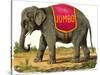 Jumbo the Elephant-null-Stretched Canvas