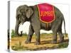 Jumbo the Elephant-null-Stretched Canvas