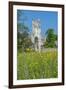 Jumieges Abbey, Jumieges, Normandy, France-Lisa S. Engelbrecht-Framed Photographic Print