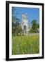 Jumieges Abbey, Jumieges, Normandy, France-Lisa S. Engelbrecht-Framed Photographic Print