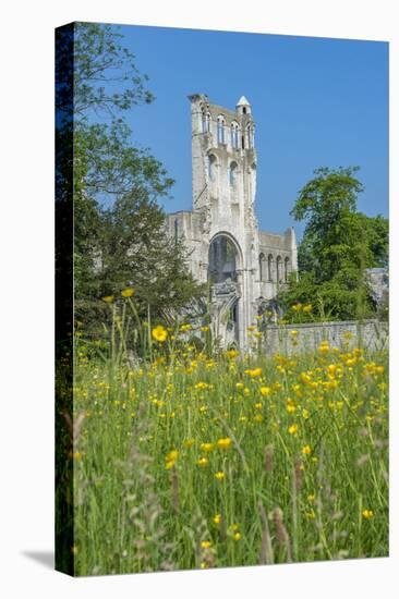 Jumieges Abbey, Jumieges, Normandy, France-Lisa S. Engelbrecht-Stretched Canvas