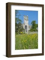 Jumieges Abbey, Jumieges, Normandy, France-Lisa S. Engelbrecht-Framed Photographic Print