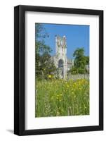 Jumieges Abbey, Jumieges, Normandy, France-Lisa S. Engelbrecht-Framed Photographic Print