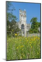 Jumieges Abbey, Jumieges, Normandy, France-Lisa S. Engelbrecht-Mounted Photographic Print