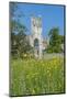 Jumieges Abbey, Jumieges, Normandy, France-Lisa S. Engelbrecht-Mounted Photographic Print