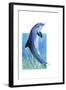 Jump Dolphin-Tim Knepp-Framed Giclee Print