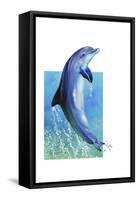 Jump Dolphin-Tim Knepp-Framed Stretched Canvas