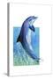Jump Dolphin-Tim Knepp-Stretched Canvas