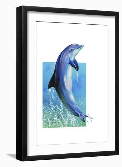 Jump Dolphin-Tim Knepp-Framed Giclee Print