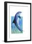 Jump Dolphin-Tim Knepp-Framed Giclee Print