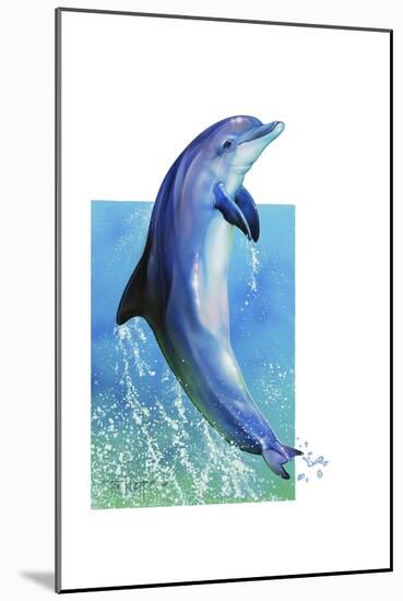 Jump Dolphin-Tim Knepp-Mounted Giclee Print