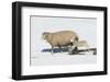 Jump for Joy-Orah Moore-Framed Art Print