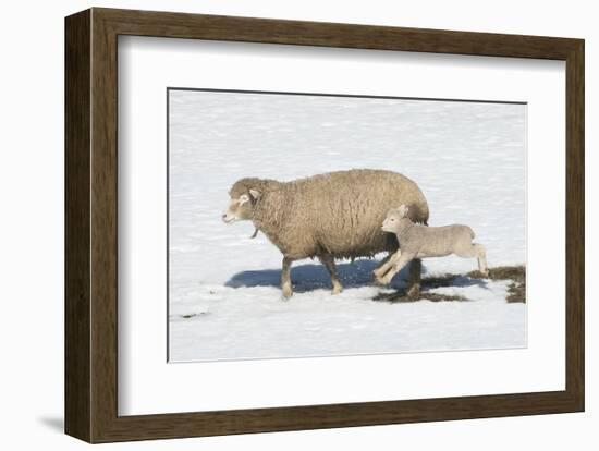 Jump for Joy-Orah Moore-Framed Art Print