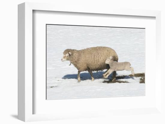 Jump for Joy-Orah Moore-Framed Art Print