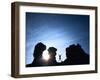 Jump for Joy-Kevin Lange-Framed Photographic Print