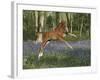 Jump for Joy-Bob Langrish-Framed Photographic Print