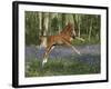 Jump for Joy-Bob Langrish-Framed Photographic Print