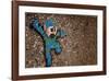 Jump-Banksy-Framed Giclee Print