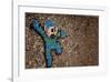 Jump-Banksy-Framed Giclee Print