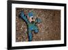 Jump-Banksy-Framed Giclee Print