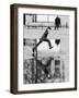 Jump-Karl Wood-Framed Photographic Print