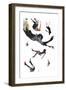 Jump-Alex Cherry-Framed Premium Giclee Print